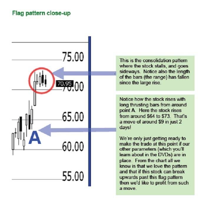 Flag Trader-Pattern Close Up